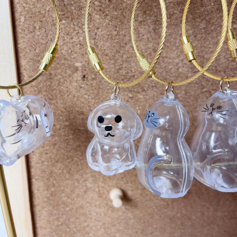 1 Piece Pet Lovers Home Display Gifts Clear Puppy Hair Memorial Keepsake Capsule Pet'S Dog Fur Container Diy Pendant Keychain