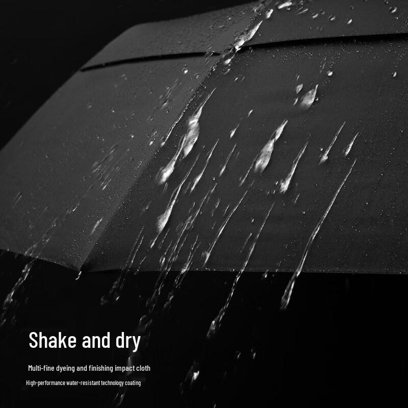 Tianwei Automatic Windproof Double-Layer Umbrella