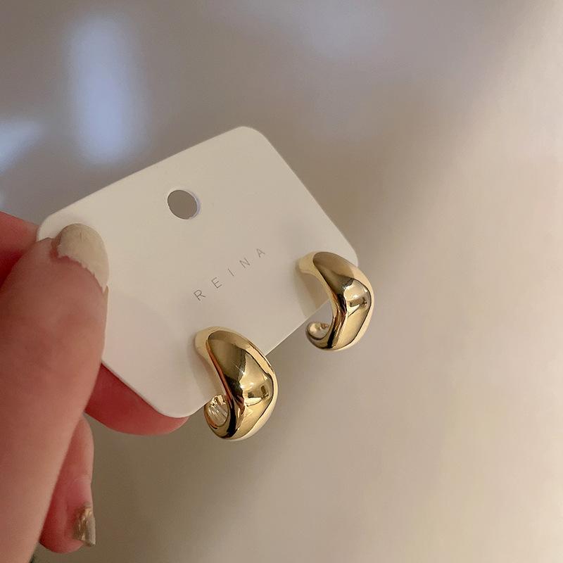 Silver Needle European and American Popular Geometric Earrings Temperament High-end Stud Earrings Niche Fashion Light Luxury Earrings Women
