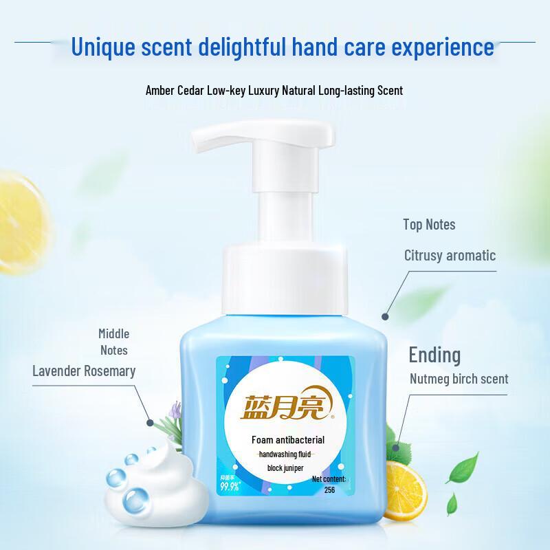 Blue Moon Foaming Hand Wash - Grain Scent Twin Pack