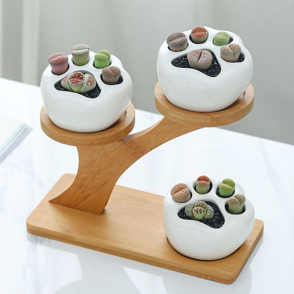 Bamboo Plants Pot Holder for Bonsai Succulent Plants 3 Layers Flowerpot Bracket
