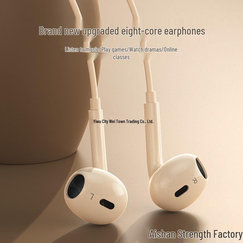 Wired In-Ear Noise Cancelling Earphones with Type-C Plug, Compatible with OPPO, Huawei, Vivo, Xiaomi