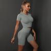 Seamless Peach Butt Solid Color Elastic Yoga Shorts & Short Sleeve Top Set