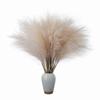 10 Units/Lot 55Cm Cute Decoration Fake Flower Reed Plant Simulated Artificial Pampas Christmas Wedding Party Fluffy Reed Grass