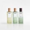 Loewe Aire Sutileza Elixir Eau De Parfum 100ml
