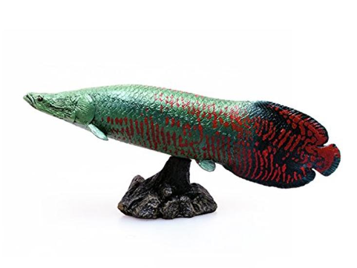 Pirarucu Soft Model (FF-002)