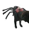Spider and Skull Costume for Small to Medium Pets