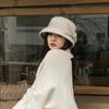 Autumn and Winter New Elegant Hepburn Bow French Top Hat Retro Woolen Hat Women's Retro Dome Woolen Hat