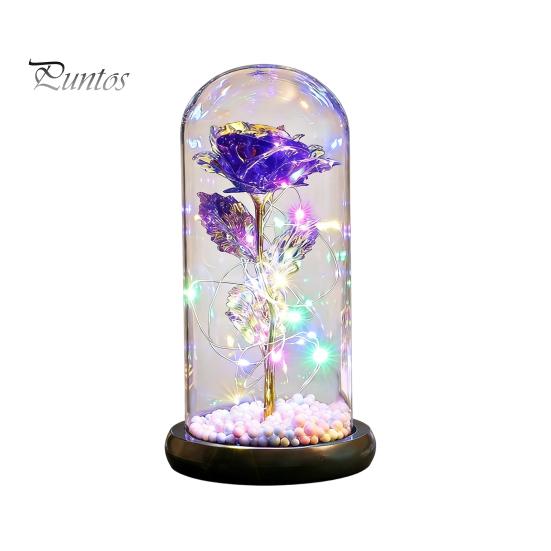 No Maintenance Flower Gift Rose Gifts for Her Mom Wife Grandma Light Up Eternal Lasting in A Dome Romantic Anniversary Birthday Valentine's