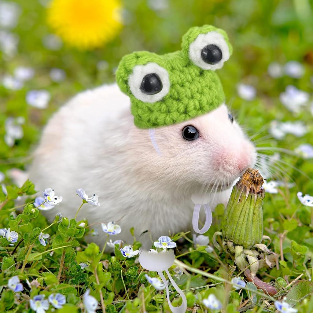 4 Pieces Hamster Hat Mini Small Animals Hat with Adjustable Strap Lovely Hand Knitted Frog Rainbow Carrot Tiny Hats for Lizard Guinea Pig Reptile