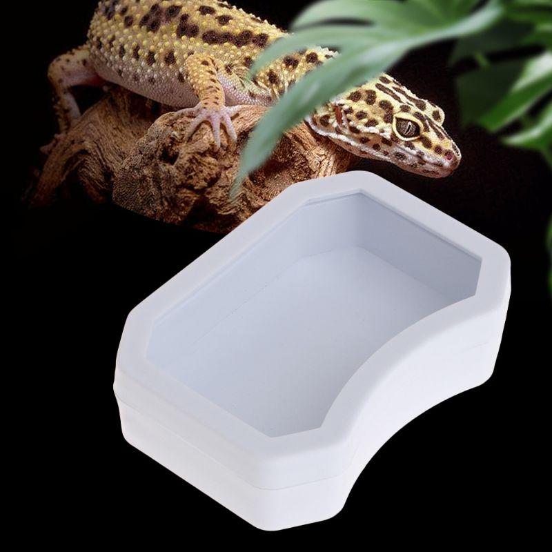 reptile feeder