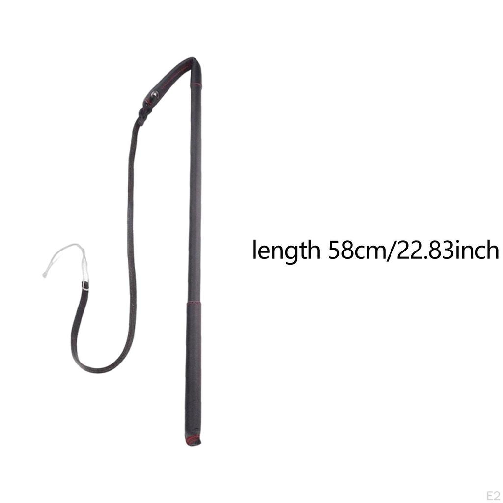 Dog Training: Obedience Training, Exercise, Discipline, Behavior Training with The - Strum