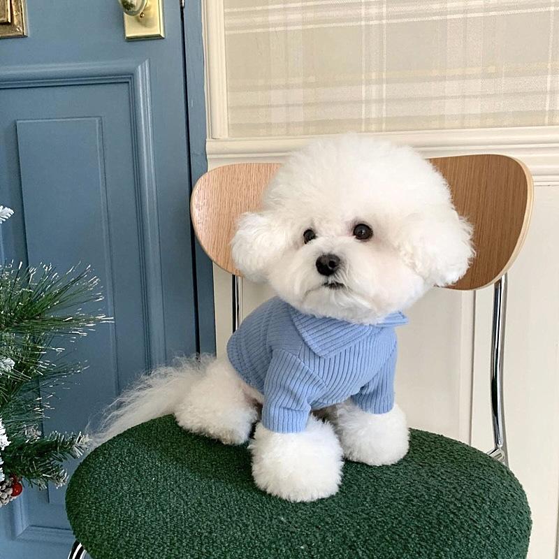 New pet bottoming shirt Teddy Pomeranian VIP Yorkshire Maltese autumn dog and kitten cat clothes