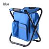 Portable Folding Cooler Bag Chair