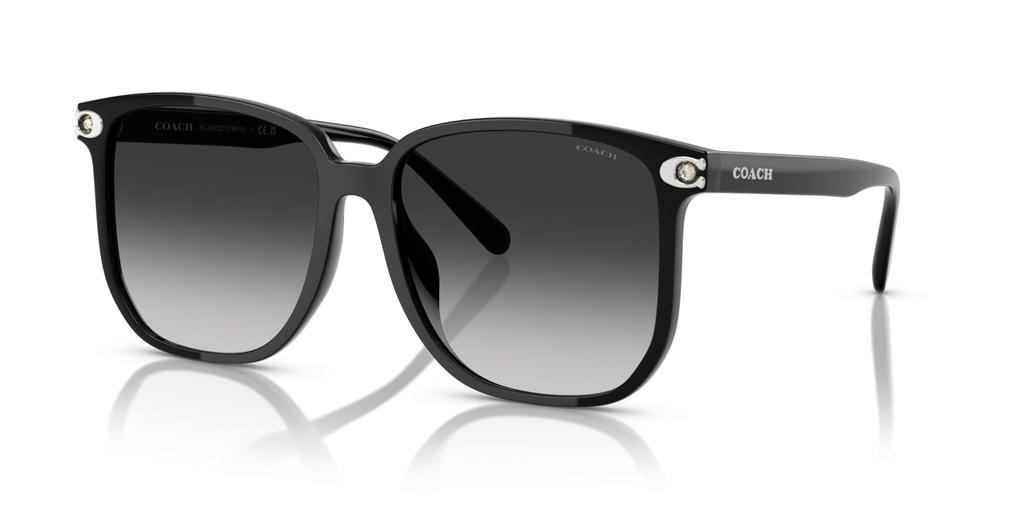 Sunglasses 0HC8413BD BLACK 58 [Coach]