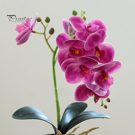 Yapay Saksı Bitkisi Sahte Güve Orkide Bonsai Masaüstü Yapay Saksı Phalaenopsis Çiçekleri Ev Yemek Masası Ofis Masası Dekorasyonu