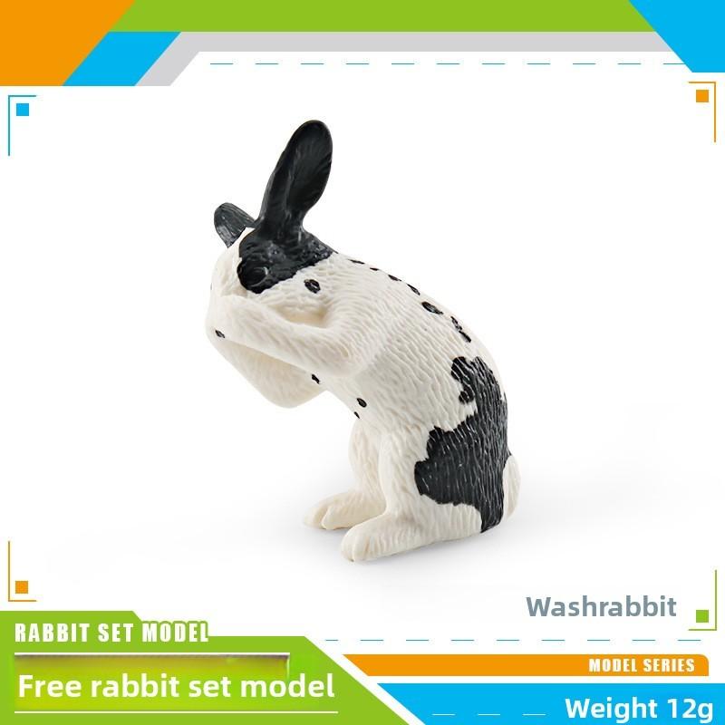 Wildlife Station Simulated And Sitting Posture Model Desktop Ornament For Kid