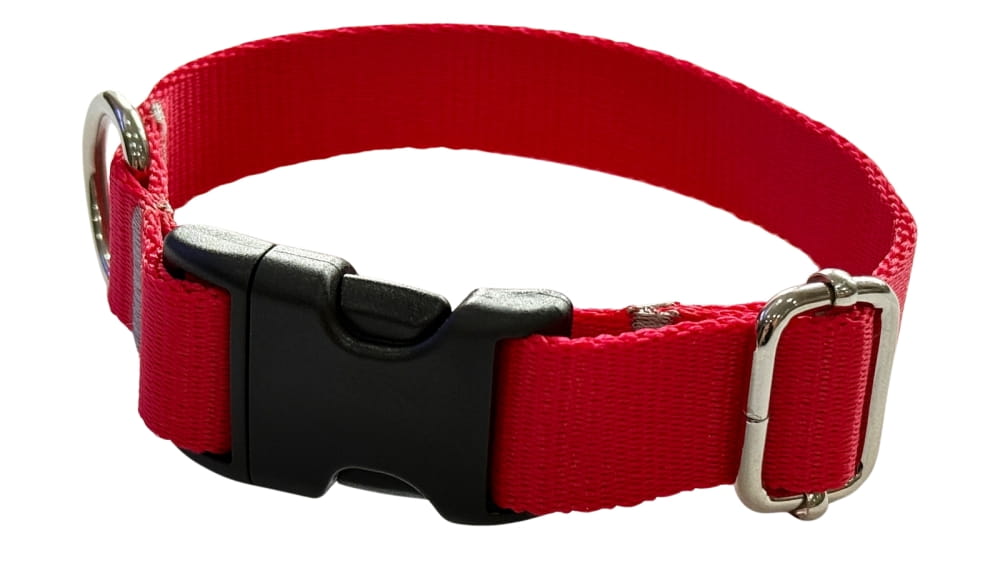 Dog Collar 2 cm with Buckle Adjustable Red Fasten Dog Collar 2 cm with Buckle Adjustable Red Fasten L: 40-55cm