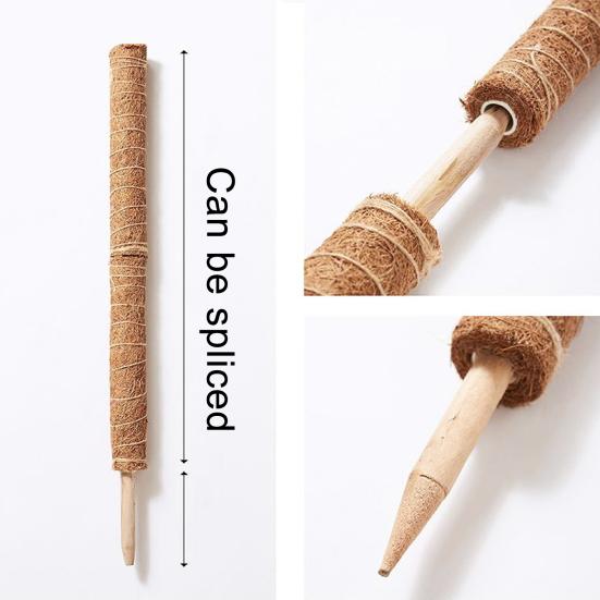 Indoor Climbing Plant Pole Convenient Coir Moss Stick Plant Support for Creepers
