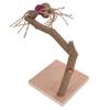 Bird Playstand Wooden Chewing Claws Grinding Parrots Training Rack with Base for Cockatiel
