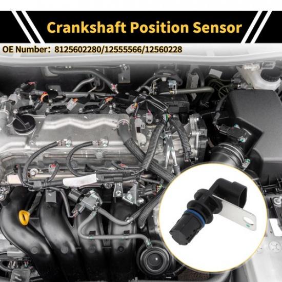 Crankshaft Position Sensor for GMC Sierra 1500 48 53 99-06 No12555566 1 Pc