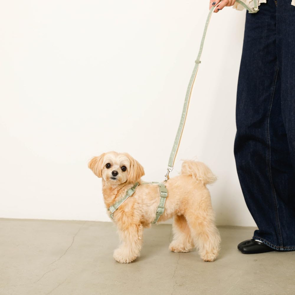 monchéri 2-Way Reflective Star Pattern Dog Leash/IVORY/FREE, Cute, Stylish, Popular Brand, Suitable for Toy Poodles, Chihuahuas, and Small Dogs