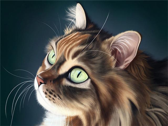 Pictură cu diamante 5d, nou sosiri, pisică drăguță, broderie cu diamante lucrată manual, mozaic de animale, cadou complet rotund/pătrat, decor acasă