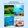 Floating Aquarium Decorations Moon Safe Exquisite Cute Moon Animals Decor for Fish   Accessories