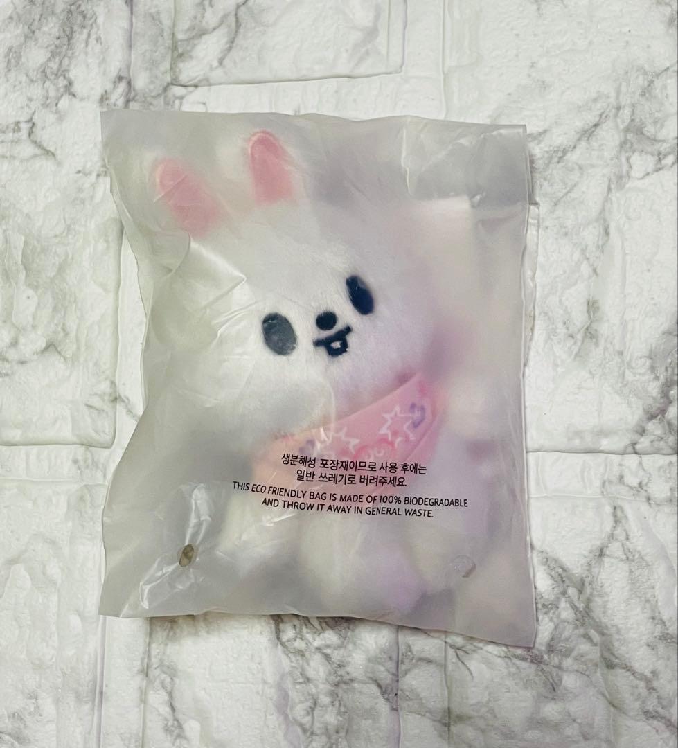 

[USED] Stray Kids SKZOO 10cm Plush Toy Leebit