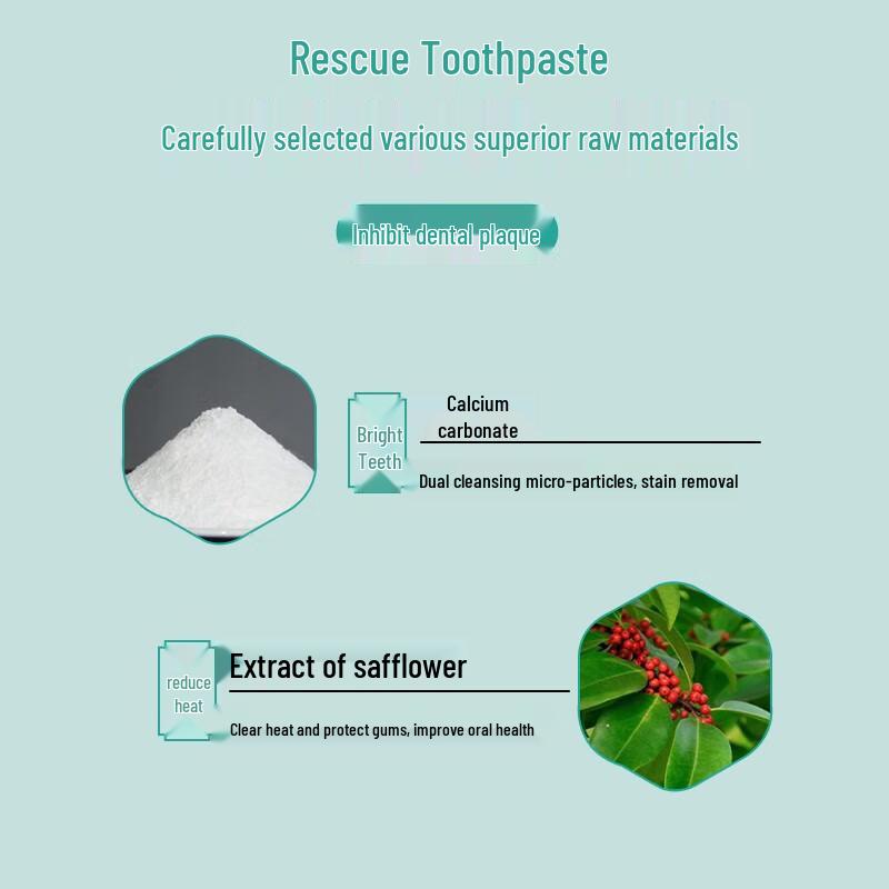 Dentist Plaque & Gum Care Toothpaste