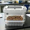 Meelworm Kweekbak Meelworm Boerderijsysteem met Afvalbak Ademende Meelworm Kweekbak voor Kleinschalige Teelt Voeding voor Kippen Kikkers