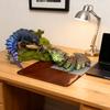 3D Printed Lizard Statue, Flexible 3D Printed Animal, Colorful Figurines Statue, Gifts, 36.5Cm/14.37In, 23.5Cm/9.25In