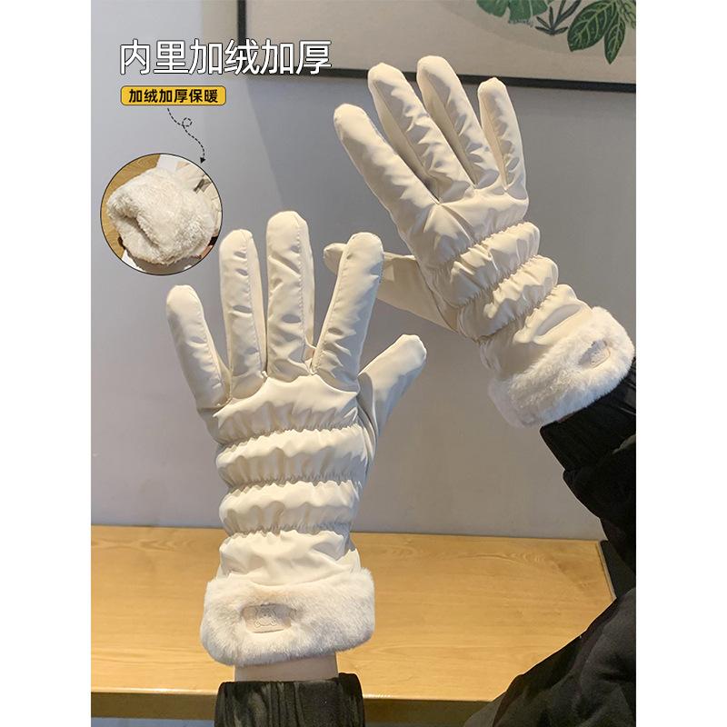 Gloves Women'S Season Warm Touch Screen Driving Riding Fleece Thickened Windproof Cotton Gloves Luggage