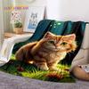 Persian Cat,Cute Calico Cat,Ragdoll Cartoon Soft Flannel Blanket for Beds Bedroom Sofa Picnic,Throw Blanket for Outdoors Leisure