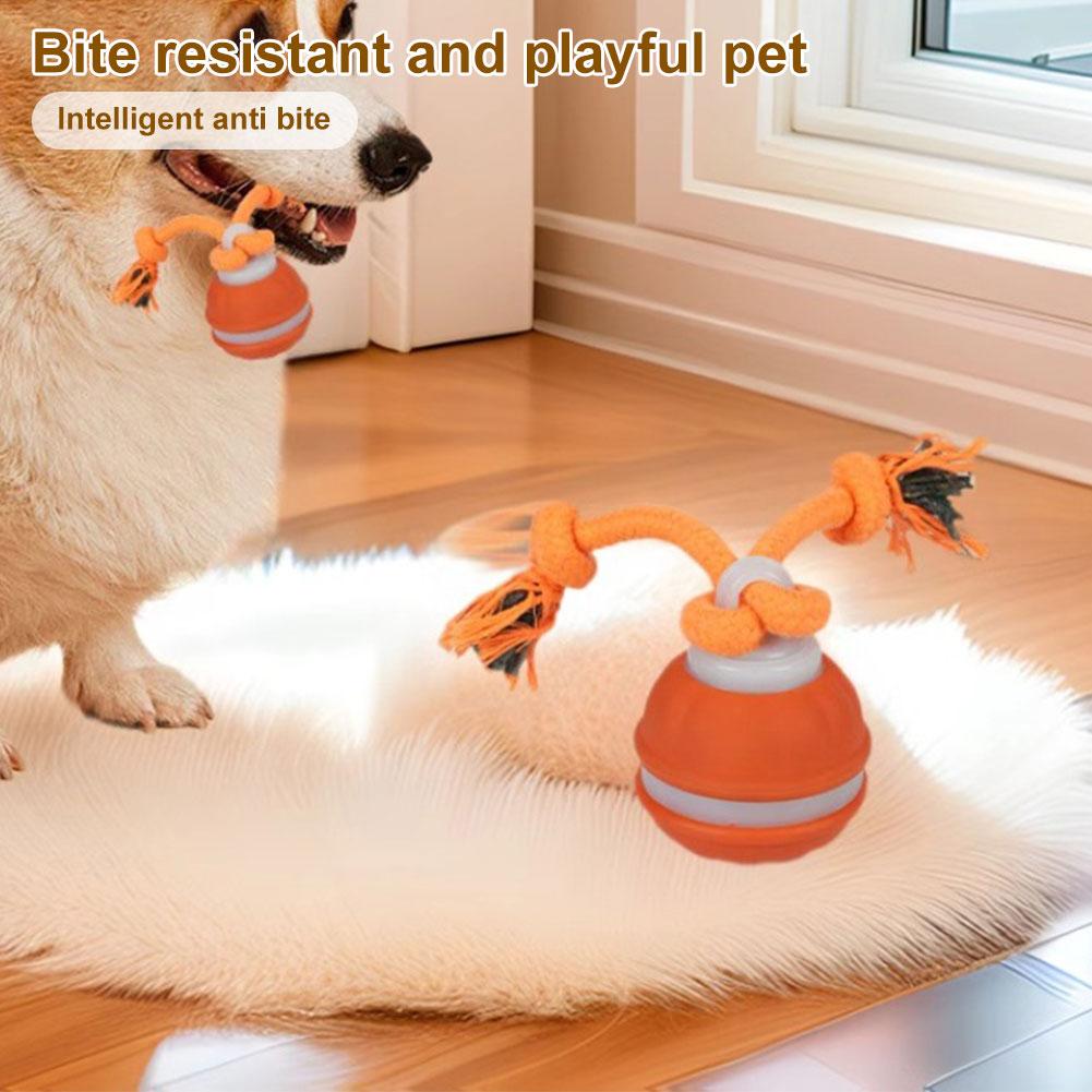 Interactive Dog Toys USB Rechargeable Motion Activated Dog Ball Automatic Dog Ball for Medium Small Dogs Puppy
