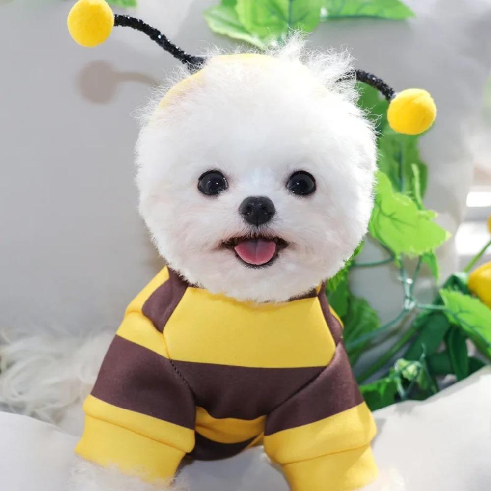 

Outfit Puppy Apparel Polyester Bee Hoodie New Dog Cat Hoodie L