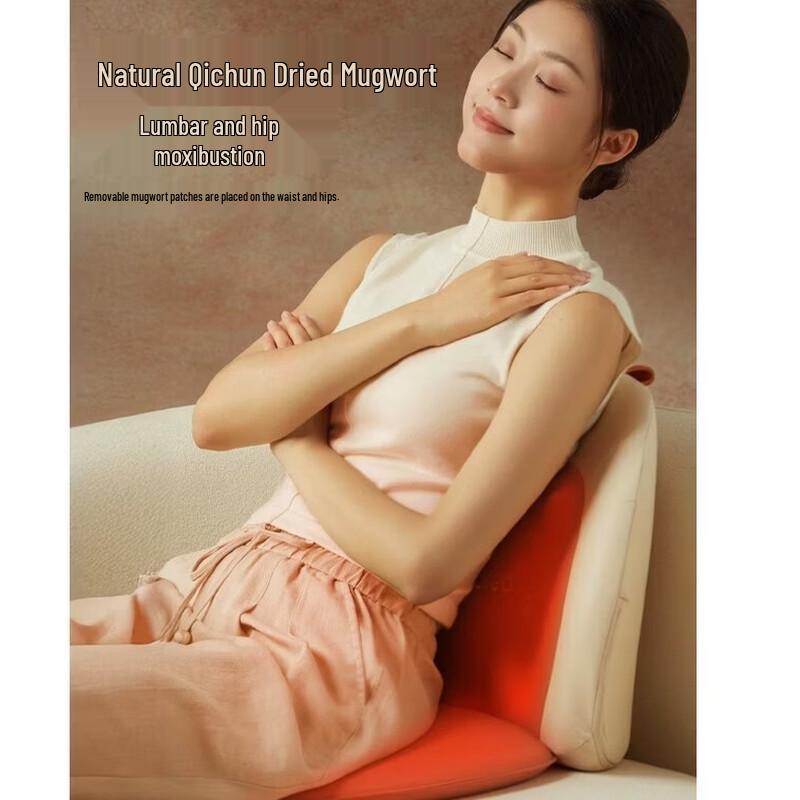 Breo Back2pro Lumbar & Hip Massager Cushion CN plug (adapter included)