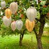 Outdoor Wasp Nest Driver Bee Swirling Fabric Paper Lantern, Egg Shape Hanging Paper Lantern, Trap Trap Bee Wirling Silk Fabric Lantern Water Resistant