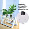 25PCS  Pot Net Cup   Containers Garden Plant  Basket