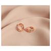 Women 925 Silver Needle Rose Gold Buckle Hoop Earrings Advanced Niche Ear Jewelry