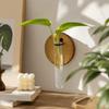 Vase Wall Hanging Planter Shelf Home Decoration Flower Pot Wall Decoration  Indoor