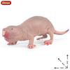 Oenux  Wild Animals Forest Orangutan Pigeon Hedgehog Aardvark Capybara Action Figure Model Figurines Pvc Collection Kids Toy