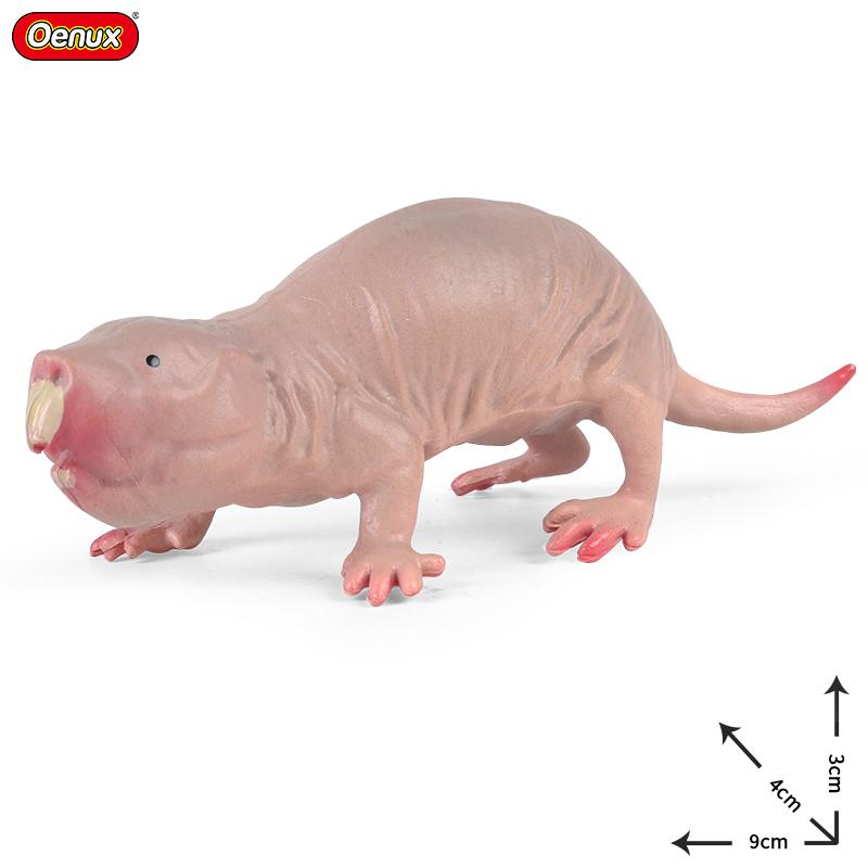 Oenux Wild Animals Simulation Rodent Marmot Mouse Model Squirrel Rat Chinchilla Action Figure Figurine Collection Cute Kid Toy