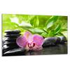 Glass Hob Protector 80x52 Orchid