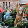Monkey Chimp Monkey Hanger Sculpture Garden Decoration Hanging Ornaments Monkey Sculpture Home