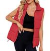 Women's Fashion Standing Collar Sleeveless Cotton Jacket Zipper Thickened Vest Jacket