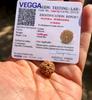 LABORATORNĚ CERTIFIKOVANÝ 9 MUKHI RUDRAKSHA Rudraksh 9 Devítilícý Rudraksham 1 kus Jóga Modlitba Léčení Meditace, Malá velikost Doprava zdarma