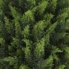Artificial Cedar Topiary Ball Tree with Ground Spike 23" UV Resistant Faux Boxwood Bushes Fake Evergreen Cypress Shurbs for Yard Porch Patio Decor