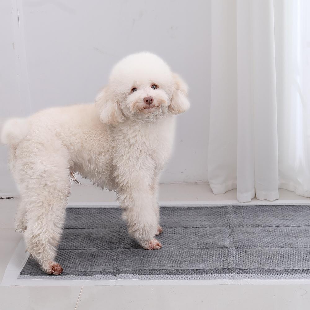 20/40/50/100 Stück Saugfähige Hundewindeln Einweg Welpen Trainings Urinunterlagen Schnelltrocknende Bambuskohle Oberfläche Matte Reinigungsunterlage