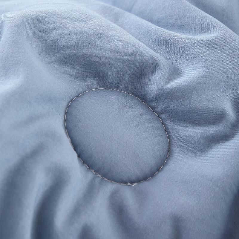 Tangna Elegant Soft Cloud All-Season Quilt